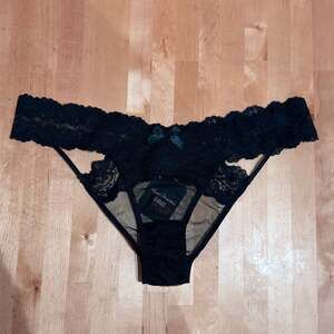 Agent Provocateur  Black Lace and meshbrief Panty - NWT- AP sz 3